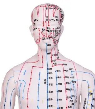 48CM Balts Sieviešu Burtiem akupunktūras punktu manekena ķermeņa akupunktūras, Medicīnas Pētniecības masāža reflekss mācīšanas modelis C518