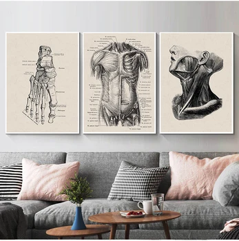 Anatomija skelets Patentu Vintage Plakātu Sienas Art Print Kanvas Glezna Ziemeļvalstu Plakāti Un Izdrukas Sienas, Attēlus Dzīvojamā Istaba