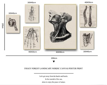 Anatomija skelets Patentu Vintage Plakātu Sienas Art Print Kanvas Glezna Ziemeļvalstu Plakāti Un Izdrukas Sienas, Attēlus Dzīvojamā Istaba