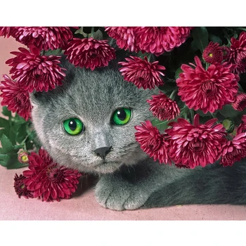 Dimanta Ziedu Izšuvumi Kaķis 5D DIY Dimanta Krāsošana Pilnu Kvadrātveida Dimanta Mozaīkas Dzīvniekiem, Attēli, Ar Rhinestones Mājas Dekoru