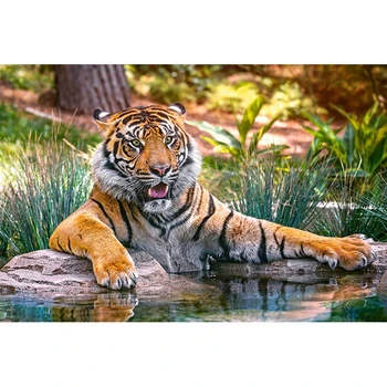 DIY Tiger 5D Dimanta Glezniecības Pilnībā Kārtas Urbt Dzīvnieku Dimanta Izšuvumi Mozaīkas Cross Stitch Rhinestone Komplekti Mājas Dekoru