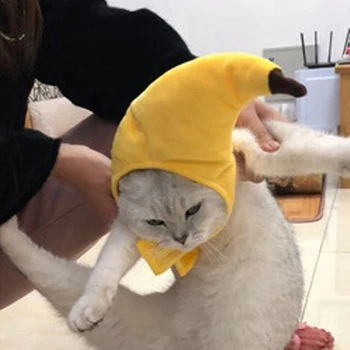 Helovīna festivāls smieklīgi galvassegu Pet Cat Cepure radošu transformāciju, funny kaķis Rotaļu banānu galvassegas