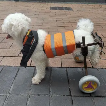 Invalīdiem Suns Scooter invalīdu ratiņi ar Rokturi Mazajiem Suņiem pakaļkājām Drošības