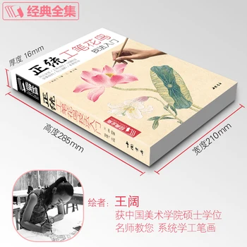Jaunu Rūpīgi Putni un ziedi Metodes iesākumam Pamata, Konsultācijas, Grāmatas, Ķīniešu Gongbi Gleznas krāsas Peonija