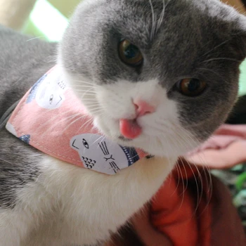[MPK Kaķu Kakla siksnas] Cat Apkakles, Khoushui-tsin Dizaina Catwear, Kaķis Autiņu
