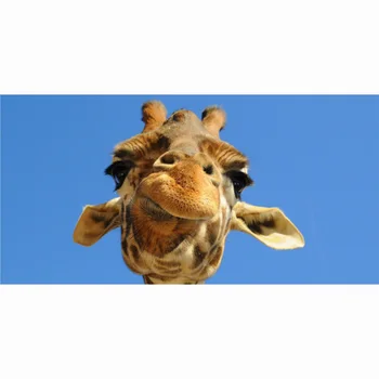 Pludmales Dvielis 70*140cm Vasaras žirafe Bambusa Šķiedras Pielāgotā Drukāšana Vannas Dvieļi Ārā Jogas Paklājiņš Ceļa Sega