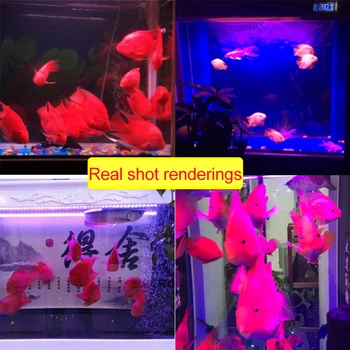 Sarkanā krāsā ūdensdrošs led zivju tvertnes gaismu, akvāriju apgaismojums dekorēšana niršanas sarkanā zivs īpašas gaismas uzlabo ES 220v strāvas padeve