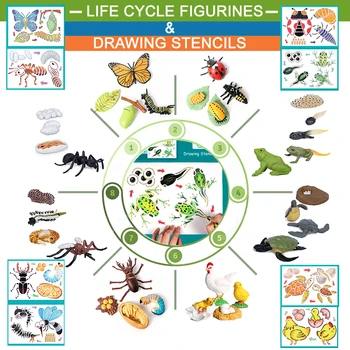 Simulācijas Dzīvnieku Dzīves Ciklu Modelis Mārīte Tauriņš Vistu, Bruņurupuci, Vardi, Ant Statuetes un Zīmēšanas Trafareti, Izglītības Rotaļlietas