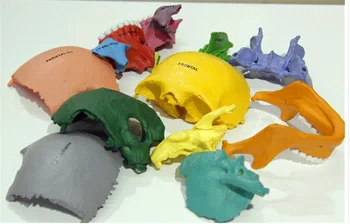 Sākotnējo krāsu Luminiscences hromatiskās kaulu 4d master puzzle Montāža rotaļlietas cilvēka ķermeņa orgānu anatomijas modelis apmācīttiesīgā